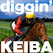 diggin' KEIBA(ディギンケイバ)