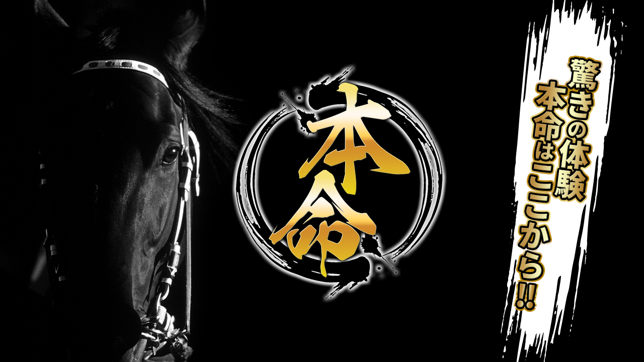 競馬予想サイト本命の情報